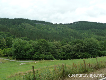 Entorno Natural de Bizkaia